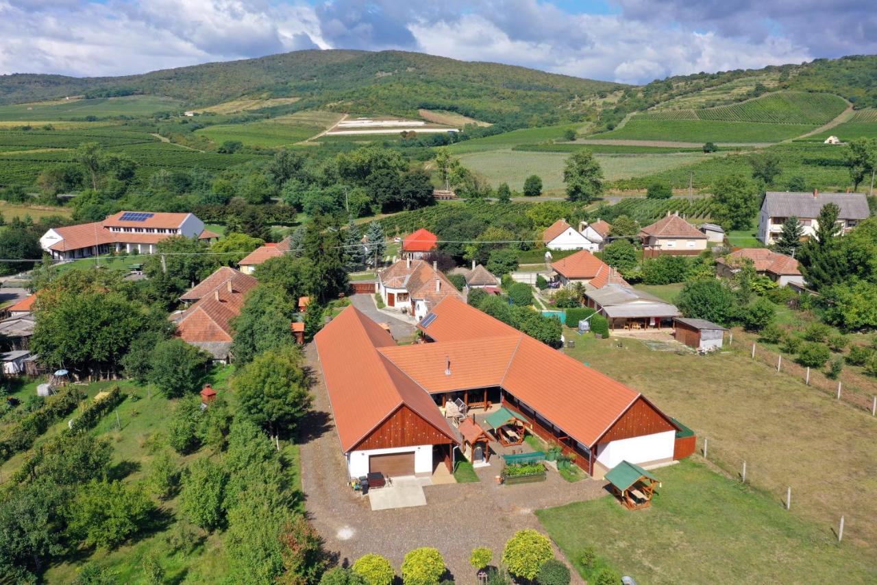 Nyakiglab Villa Szegi Dış mekan fotoğraf